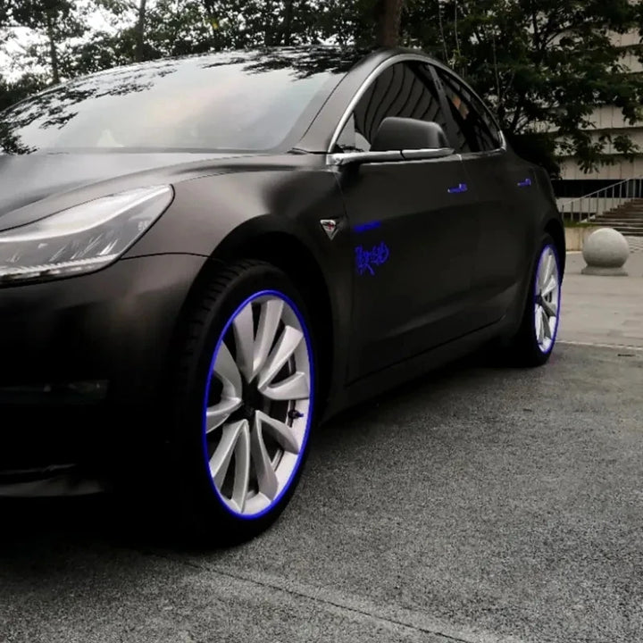 Rims Guard Strips/Wheel Hub Protection Ring for Tesla Model 3/Model Y/Model S/Model X is available at Ludicrous EV.
