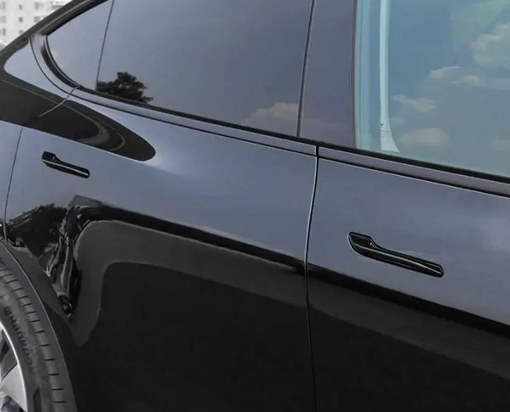 Close-up of a black car's side door with a blurred background