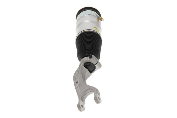 Air Suspension Strut for Tesla Model 3 | VEMO V58-50-0001 is available at Ludicrous EV.
